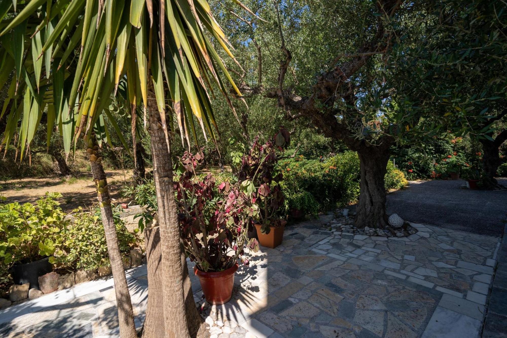 Skyblue Horizon Studio 1 Tsilivi  Exterior photo
